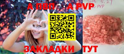 не бодяженный Кингисепп