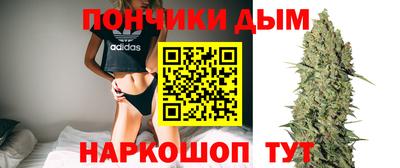 jwh Кимры