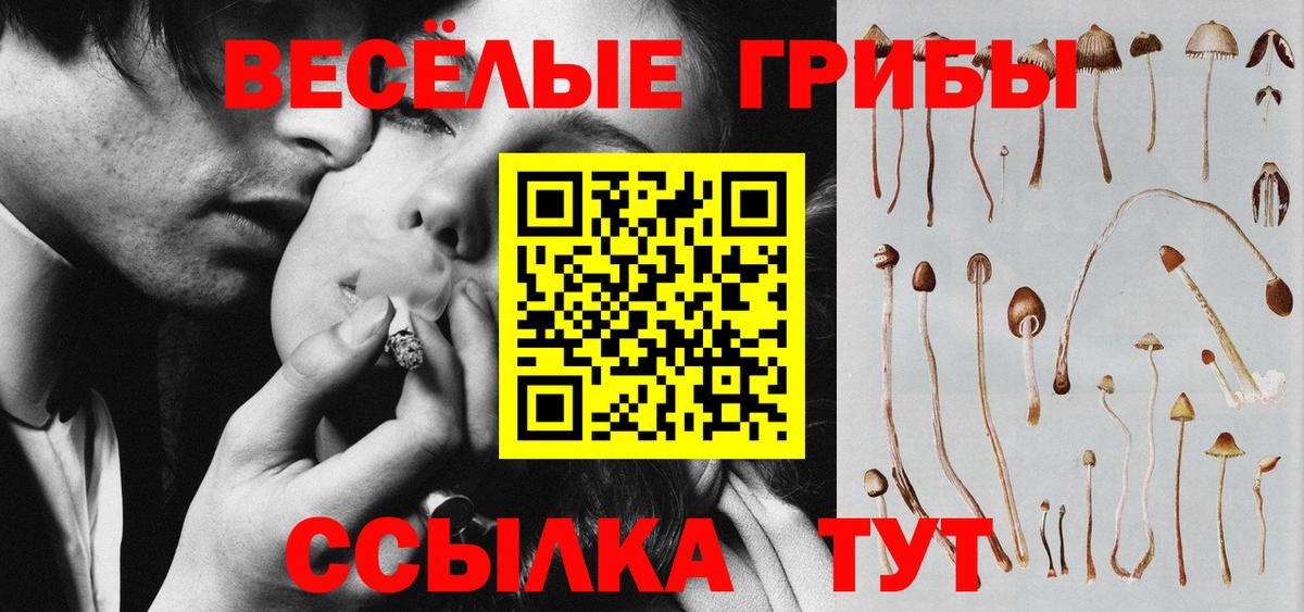 Ейск  Псилоцибиновые грибы Psilocybine cubensis  Вход с VPN 