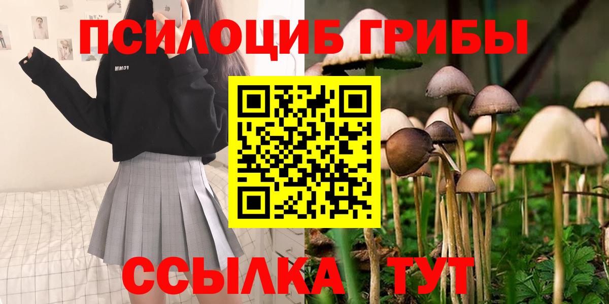 Галлюциногенные грибы Psilocybe Ейск